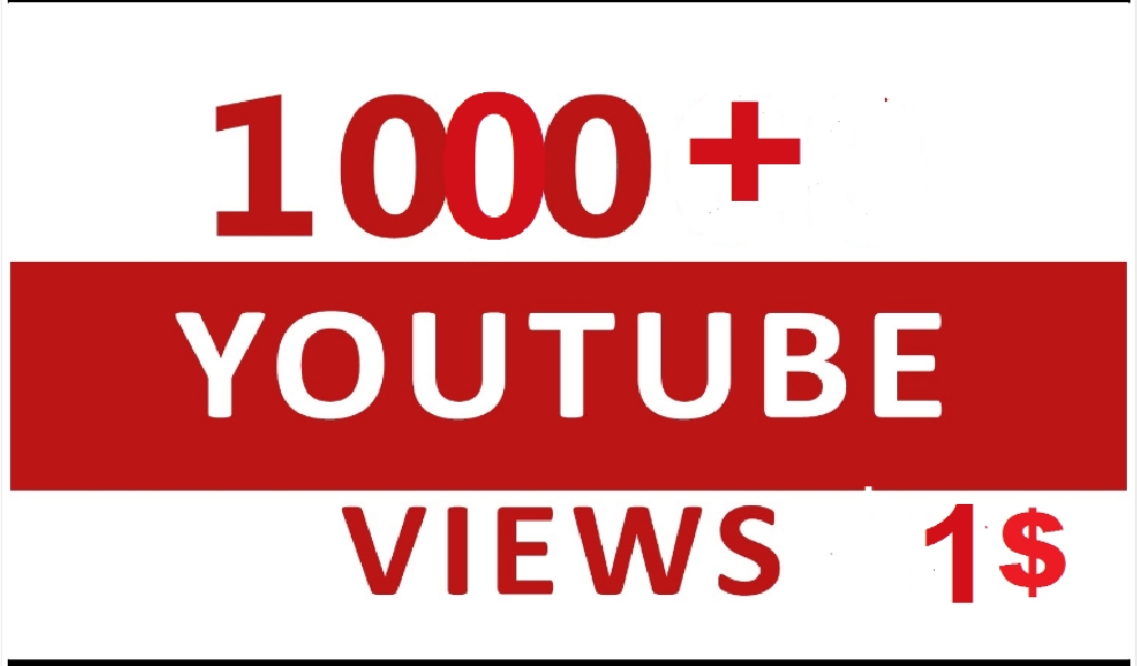I will provide 1000 youtube views 