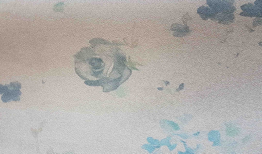 Spring Flower turkish wallpaper