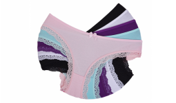 women's panties wholesale (100X10)