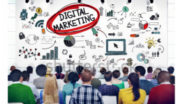 Will Teach you How To Organize Your Digital Marketing 