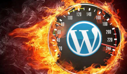 Increase The Speed Of Loading WordPress Site Up To 5x